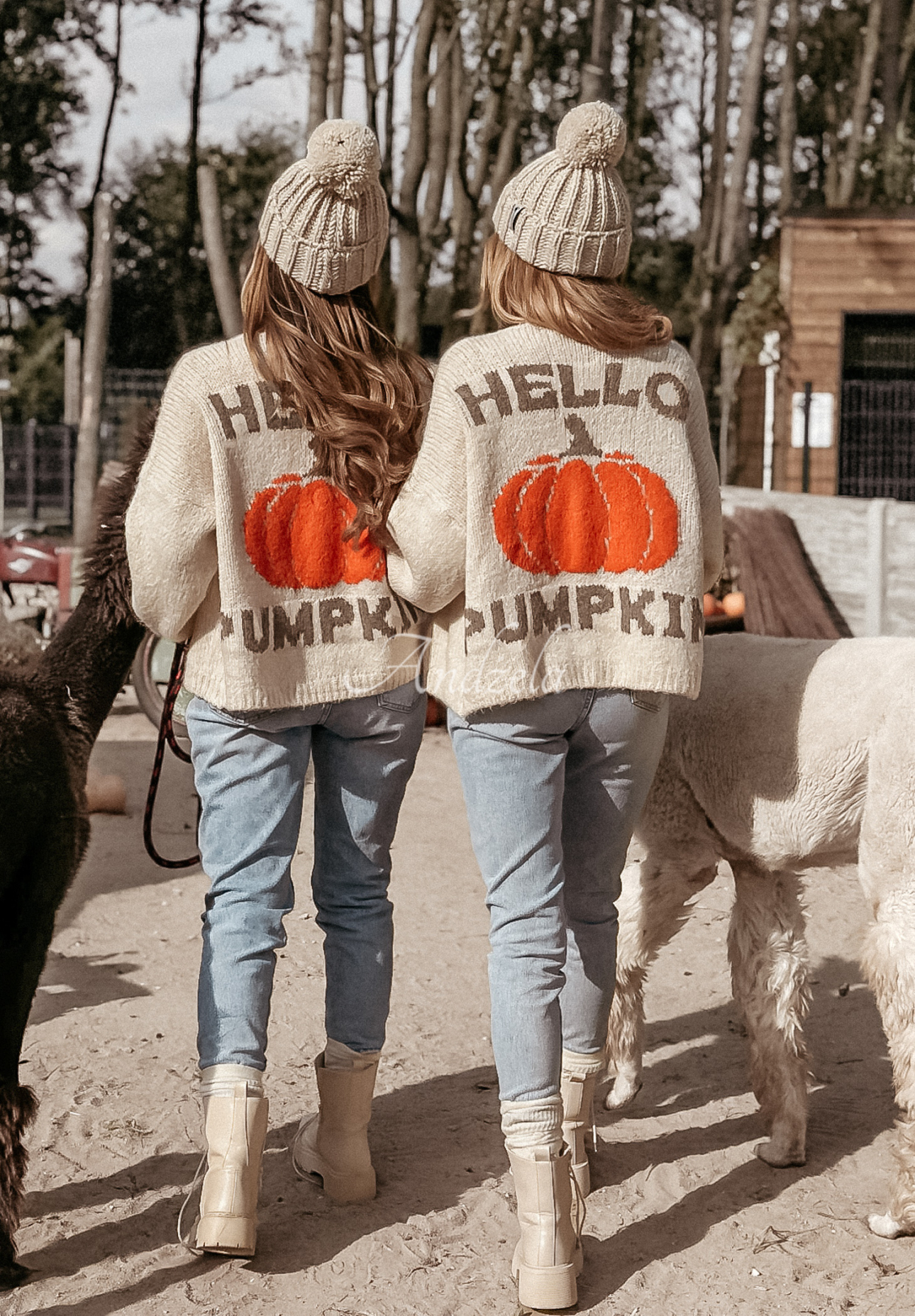 Kardigán oversize Hello Pumpkin béžový