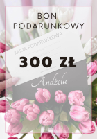 Bon Podarunkowy                                               300